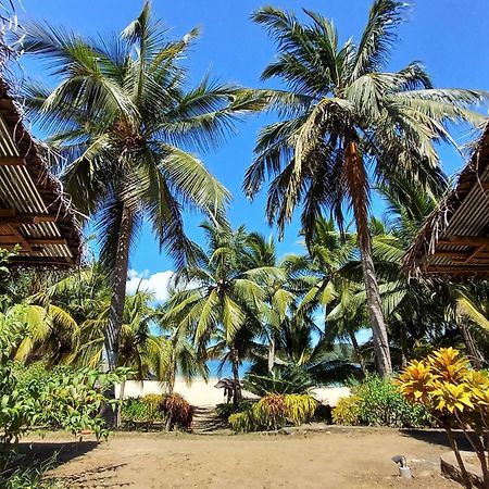 Moheli Laka Lodge Nioumachoua ภายนอก รูปภาพ